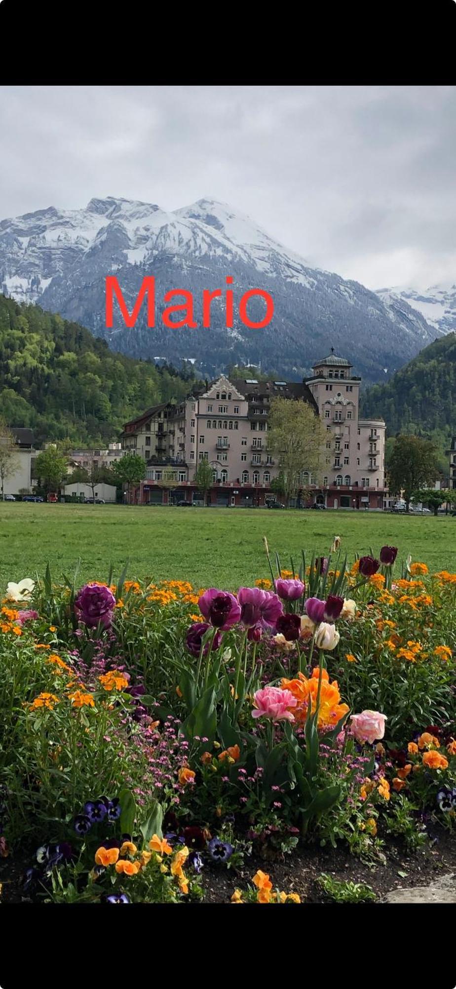 Apartment By Mario Interlaken Exteriér fotografie